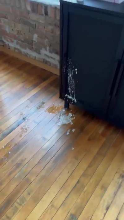 No, not the hardwood floor!