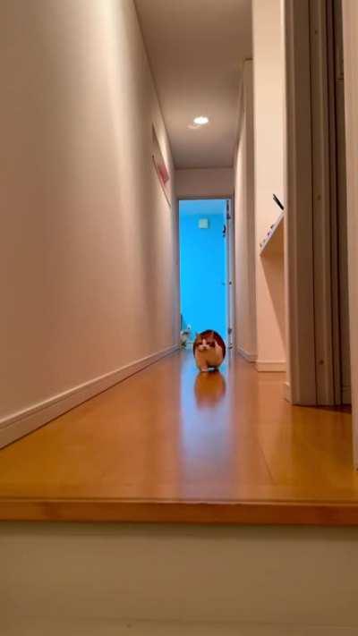 It would have been easier for it to come rolling..