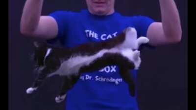 I am a sophomore engineering major and had to do a video on the law of conservation of angular momentum. Can someone tell me how accurate my project is? I did my best but I’d like to know if I really know what I’m talking about or not.