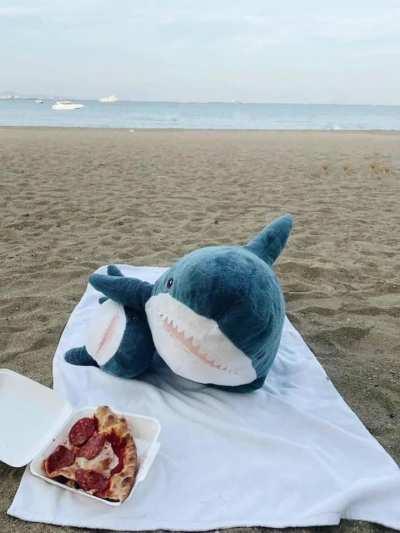 “Do You Have To Let It Linger?” (Footage from alternate universe SR3L7262727v)