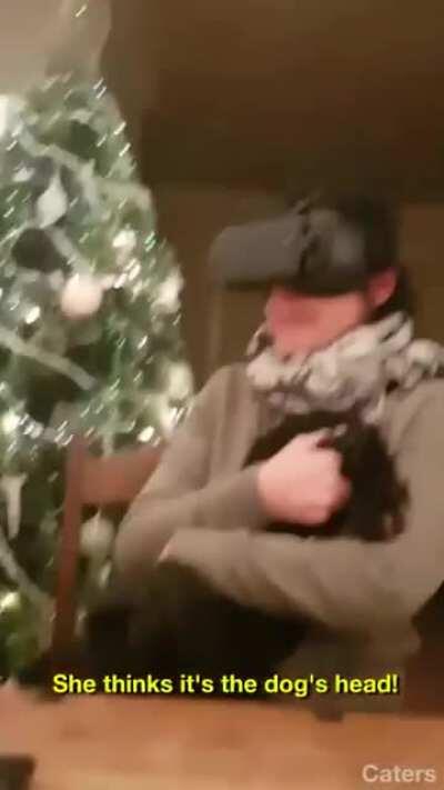 Lady grabs wrong side of the dog