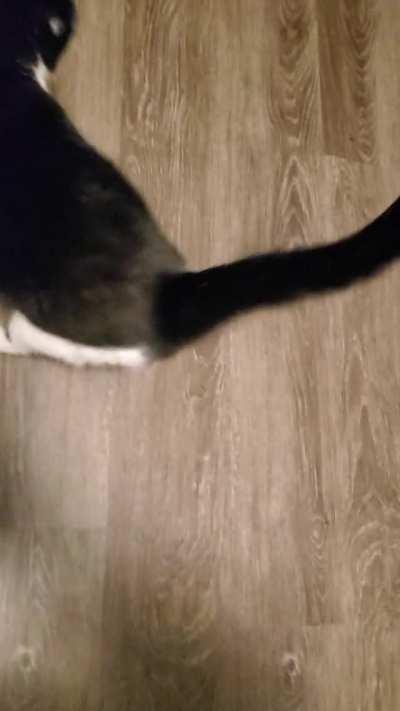 Came home after a week away...