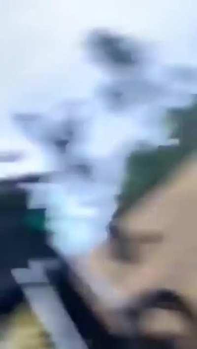 This absolute unit of a crab stealing (and breaking) a guy's golf clubs