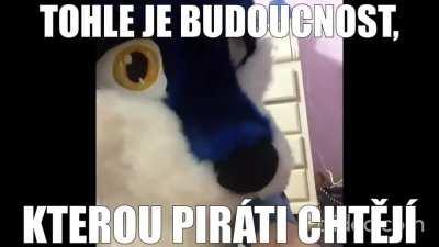 Piráti 😡😡