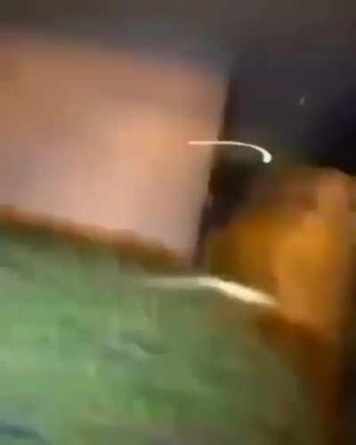 Freddy fazbear🧐🧐🧐🧐😐😐😐😐🤨🤨🤨🤨