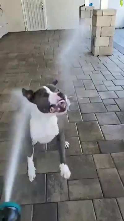 HMK while I show this water how ferocious I am 😆💦