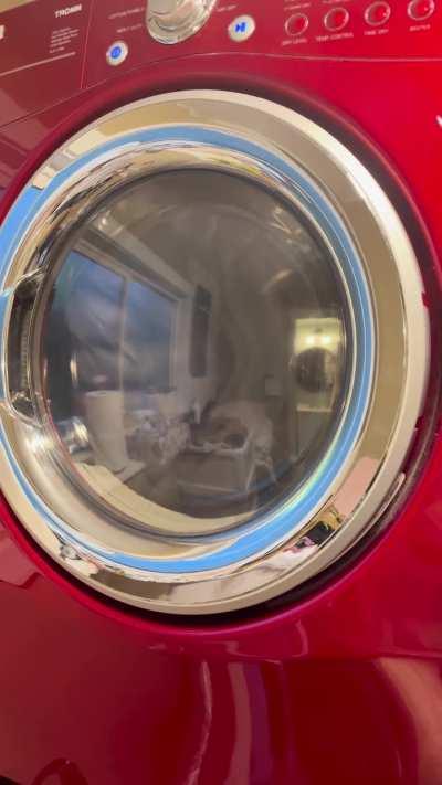 waiting for pink panthress to sample my mom's dryer