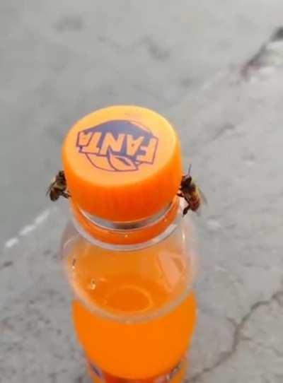 Новый челендж....