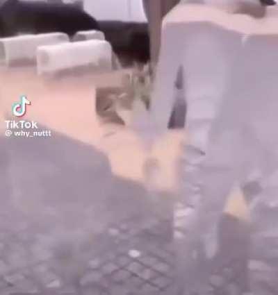 Its too early for this