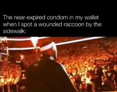 don't let it go to waste!