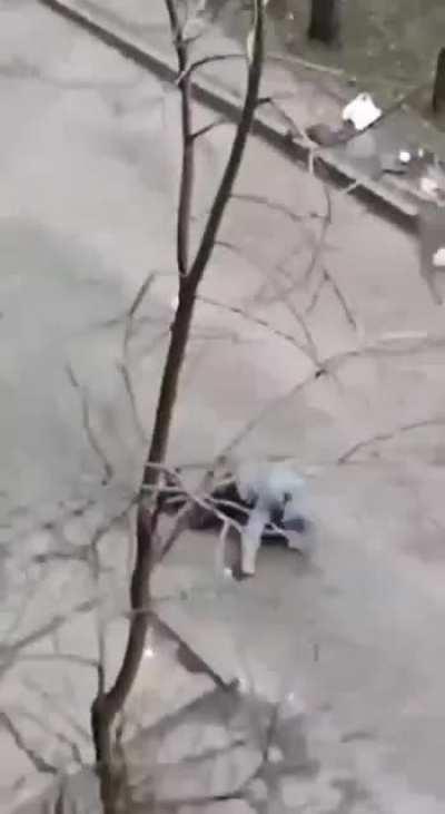 Ukrainians purge the streets of 