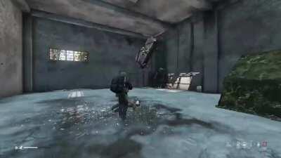 DayZ summed up in one clip