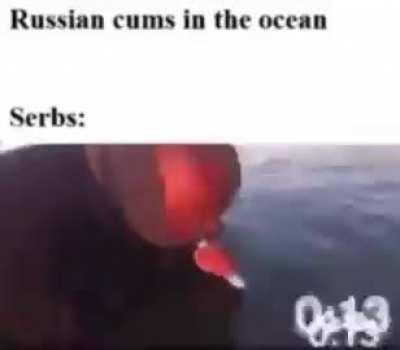 The serbian SUCC