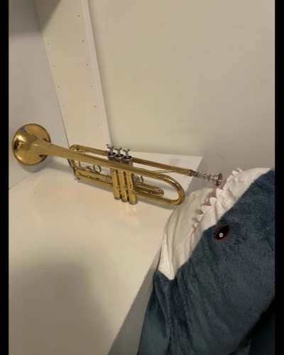 taught my shonk, but I think I need to lock him out of my room at night now