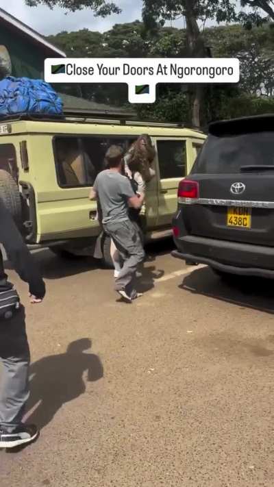 Baboons get into car causing the people inside to panic