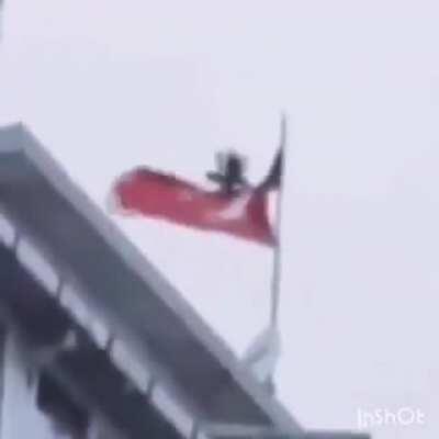 Least nationalist crow in Turkey