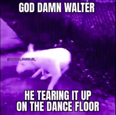 FUCK IT UP, WALTER