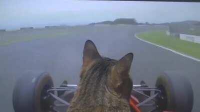 Sebastian Cattel does an installation lap