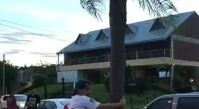 Dont Drink ! Better smoke trees