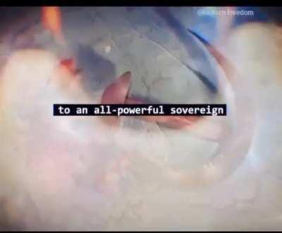 THE BEAST SYSTEM SERVES ISRAEL WHO SERVES THE VATICAN WHO SERVES THE 13 FAMILIES WHO SERVE SATAN