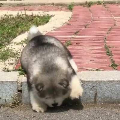 Oh crap! please help me