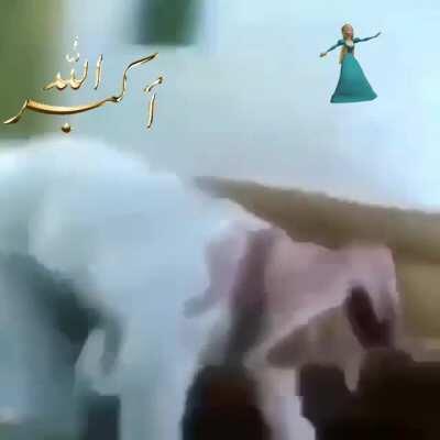 Alah made him monke 😳😳😳😳😳😳😳😳🏳️‍🌈🚫🤪