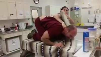 Man Pretends To Be Unruly Cat For Vet Training Video