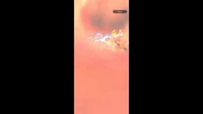 ACTUALLY FUCKING GOT HIM LET'S GOOOOO