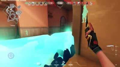 *When sage is not just your healer* #Valorant #Meme