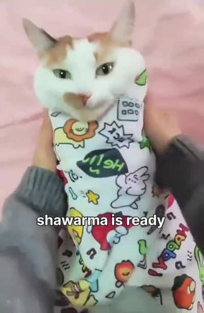 What should we put in the post credits scene of Avengers? The delicious shawarma: