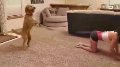 I'll...................... I'm simply going to leave this he...