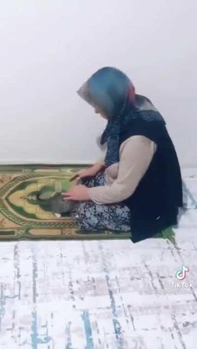 That's one way to pray with a kitten... 😳