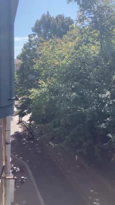 Everyday, at noon, the church at the end of my street plays the Ukrainian national anthem (Toulouse, France)