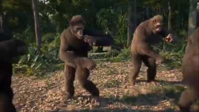 Who's ready for Monday? #AMCparty 🚀