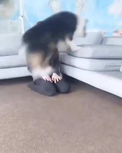 I Trust My Mamma!! No Matter What Happens She is Always there to Hold Me!!