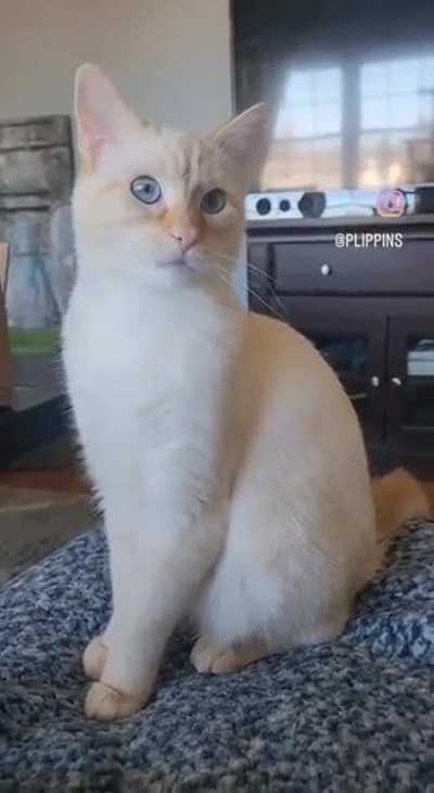 When is he not cute?