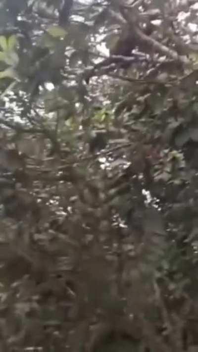 Monkey and human sharing a beer.