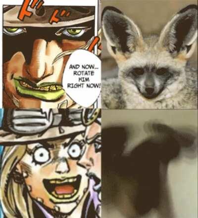 Rotate the Plompy right now!