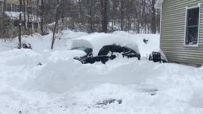 First time using Summon for something other than showing off to friends