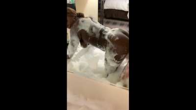 [ Removed by moderator ]