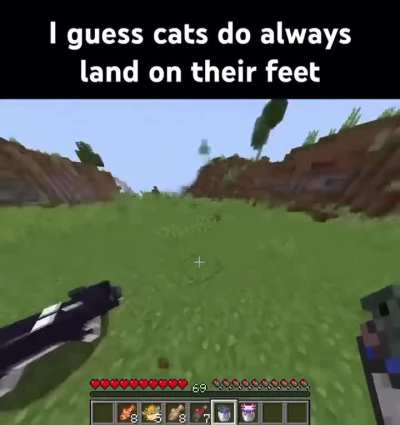 Minecraft cat moment
