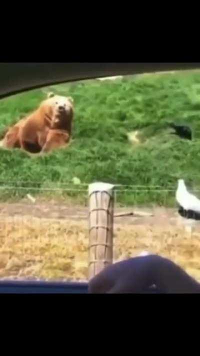 never seen such a cool move tho..