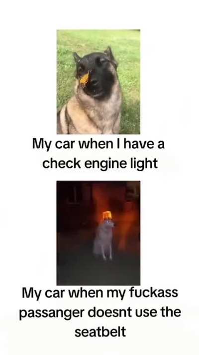 Also when there's a shopping bag on the seat. So freaking dramatic.