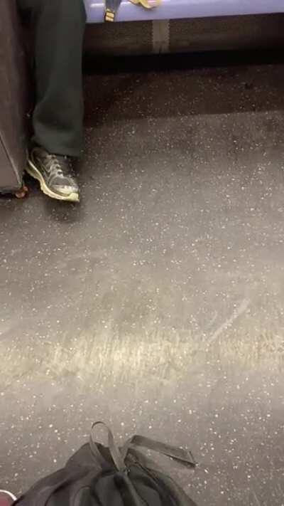 F train always entertaining