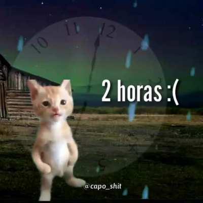 NOOO MI PANA (créditos al capo_shit un grande siganlo en insta)