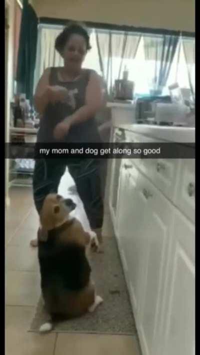 Dog having a dance-off, with grandma.