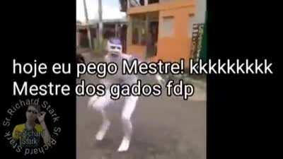 Famoso 3 capa deitei