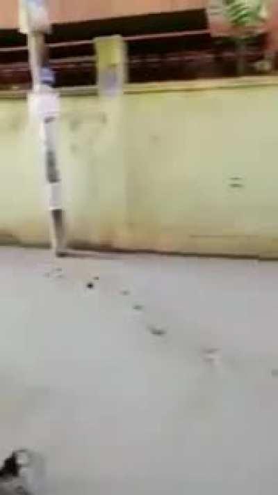 Who let the dog out??!!!