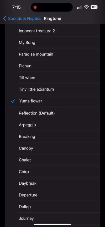 Need help finding song