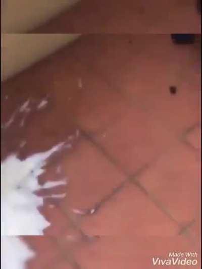 HMC while I open this Champagne bottle